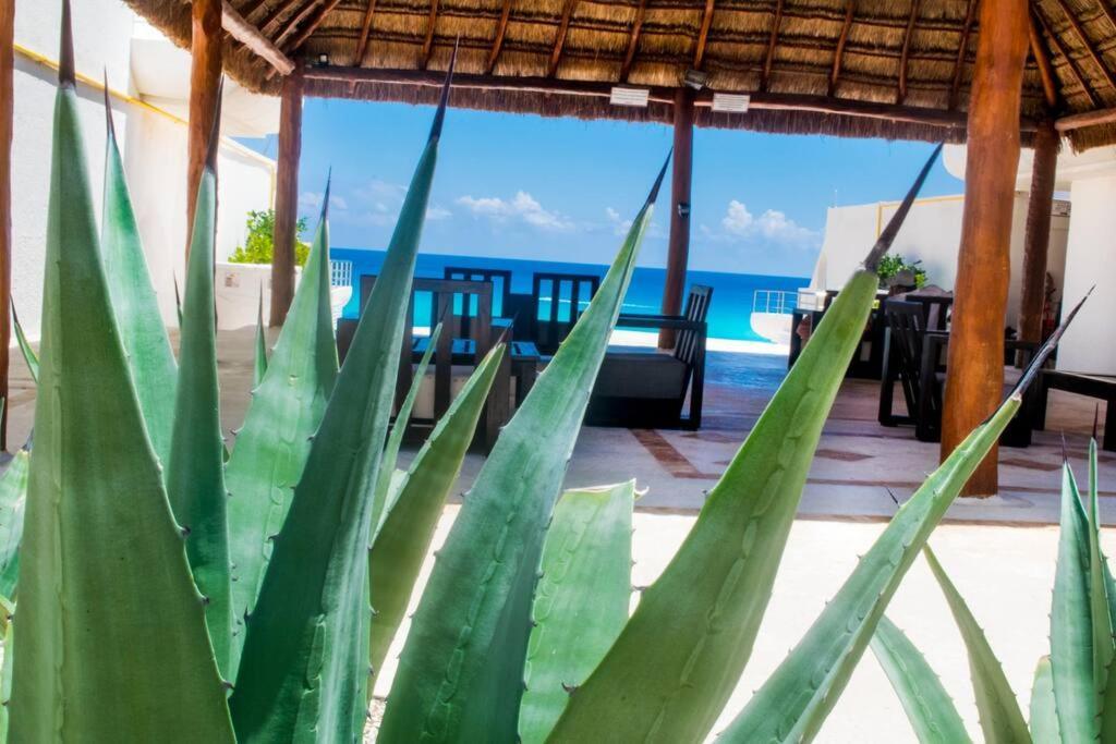 Cancun Marlin 32 Ngoại thất bức ảnh